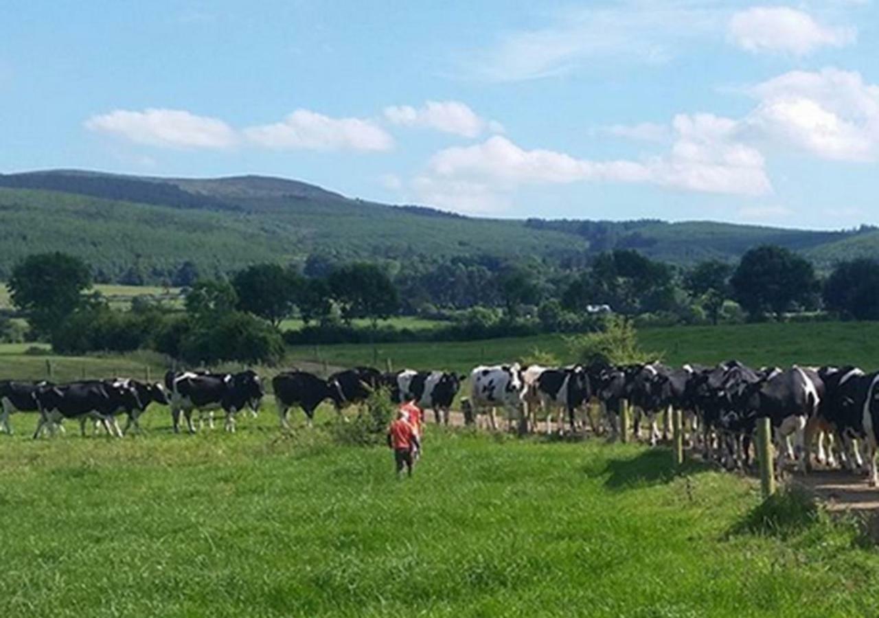 The Dairy Lodge Kilmallock Екстериор снимка